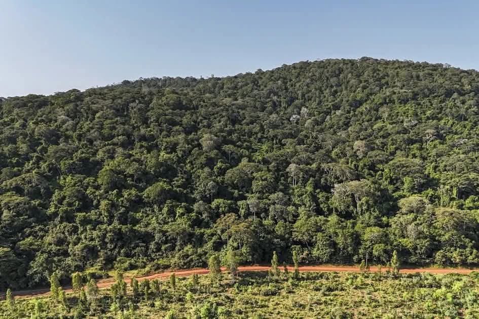 Mrima Hill Is Not a Circus It Is a Test of Leadership.*